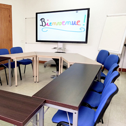 Salle U - Jardin boisé ~23m²